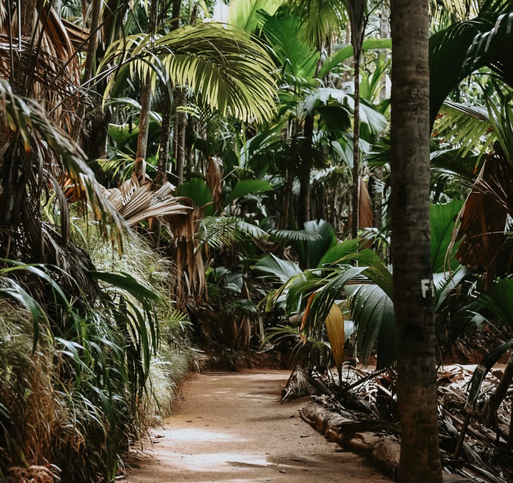 Praslin, The Seychelles