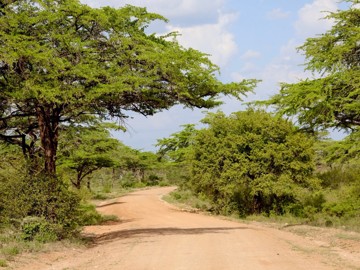 Nyerere National Park,&nbsp;Tanzania