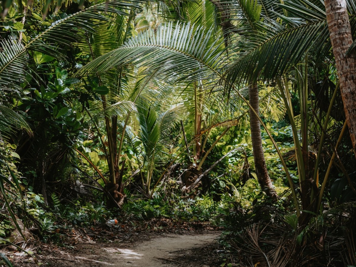 Fiji