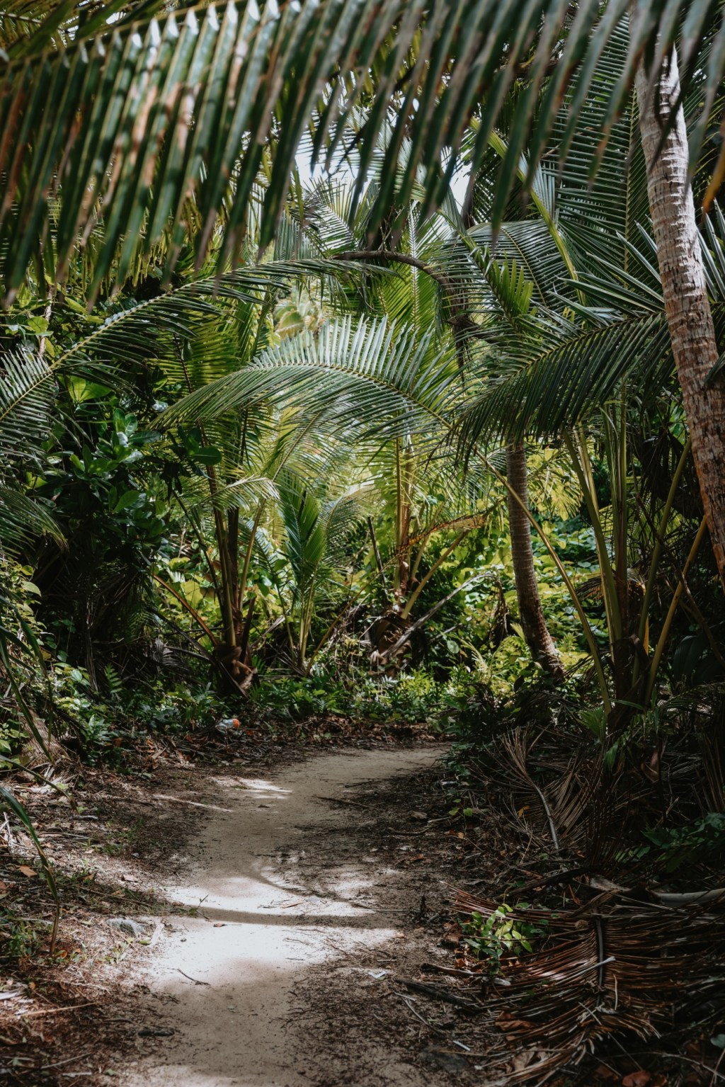 Fiji