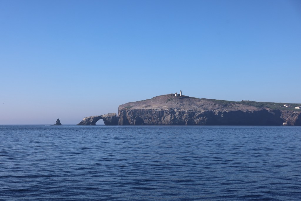 7g7a6907