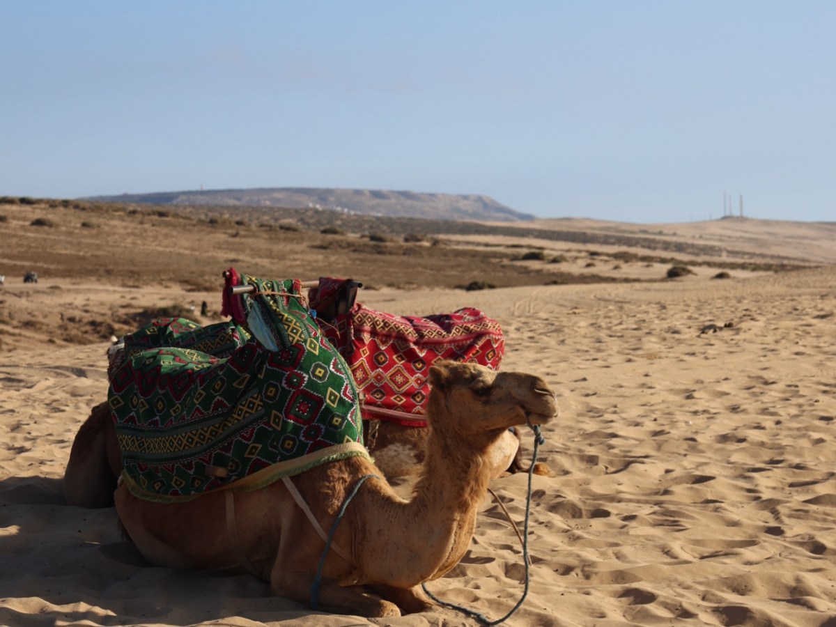 Timlalin Dunes, Morocco