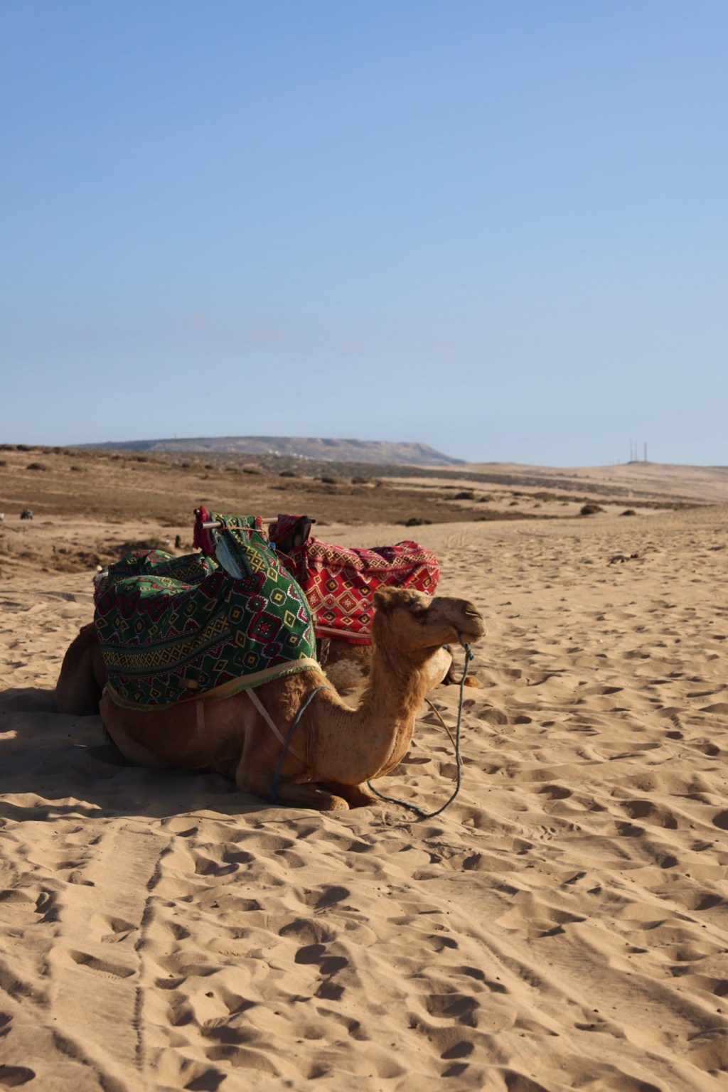 Timlalin Dunes, Morocco