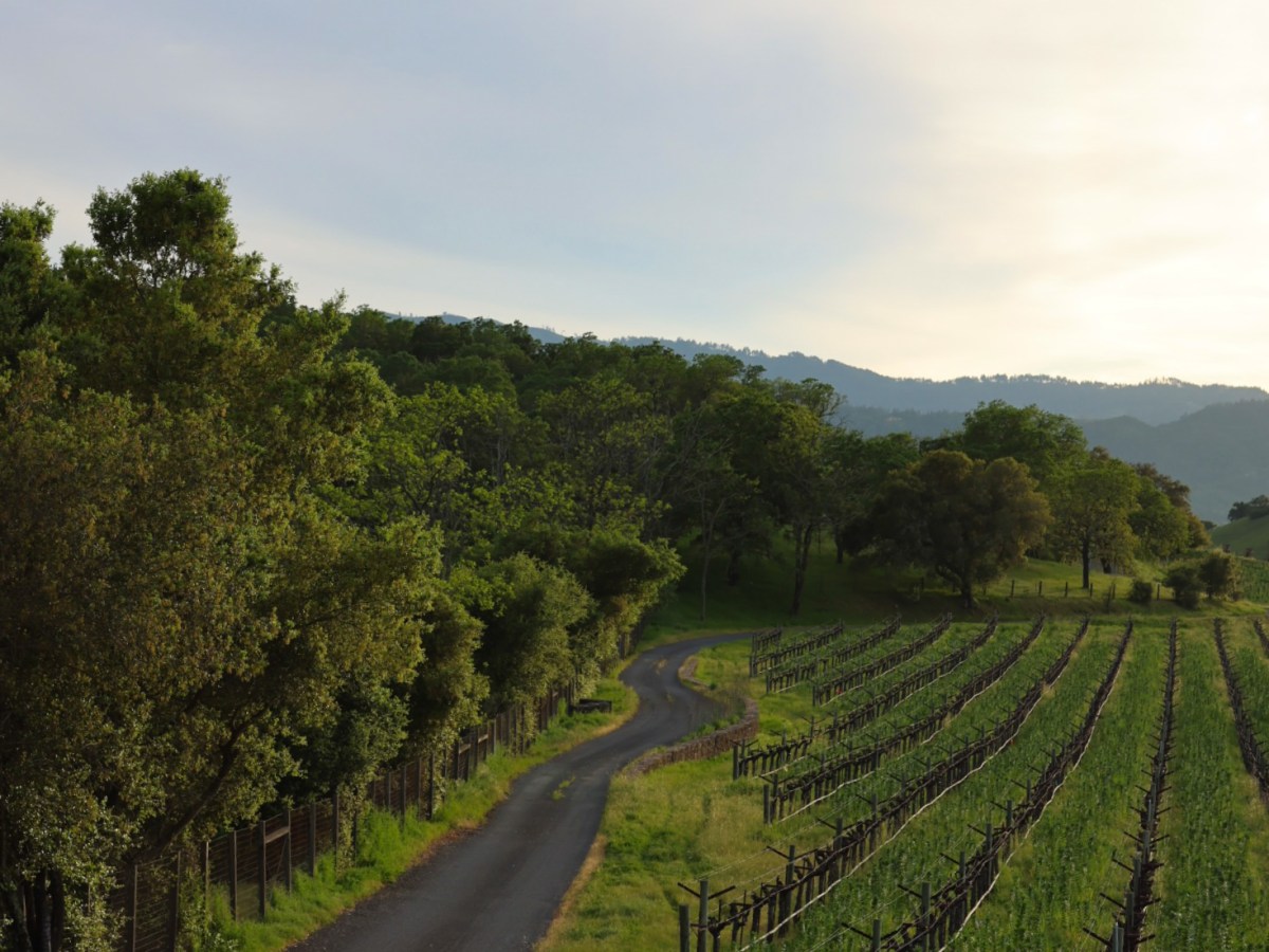 Napa Valley, California
