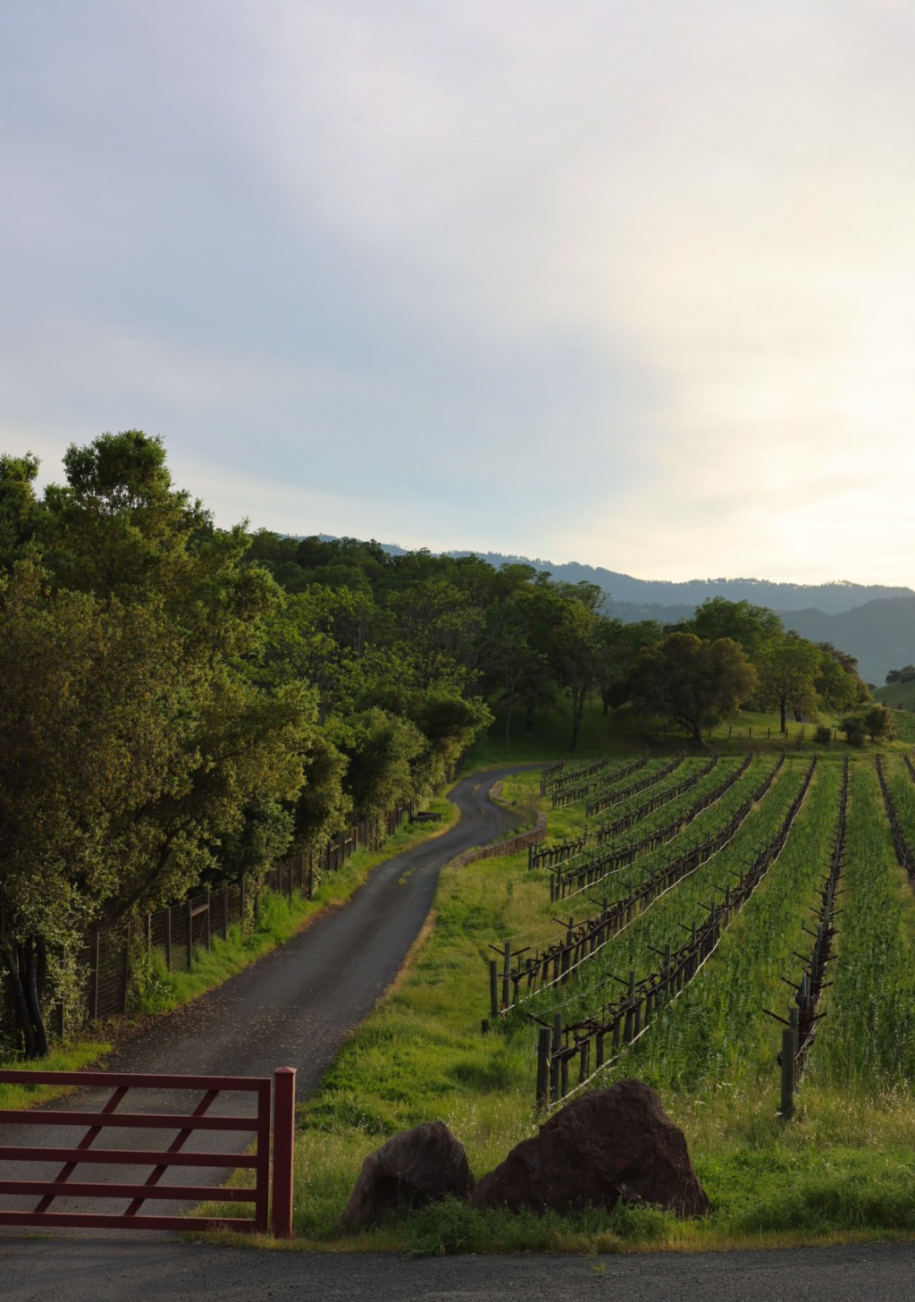 Napa Valley, California