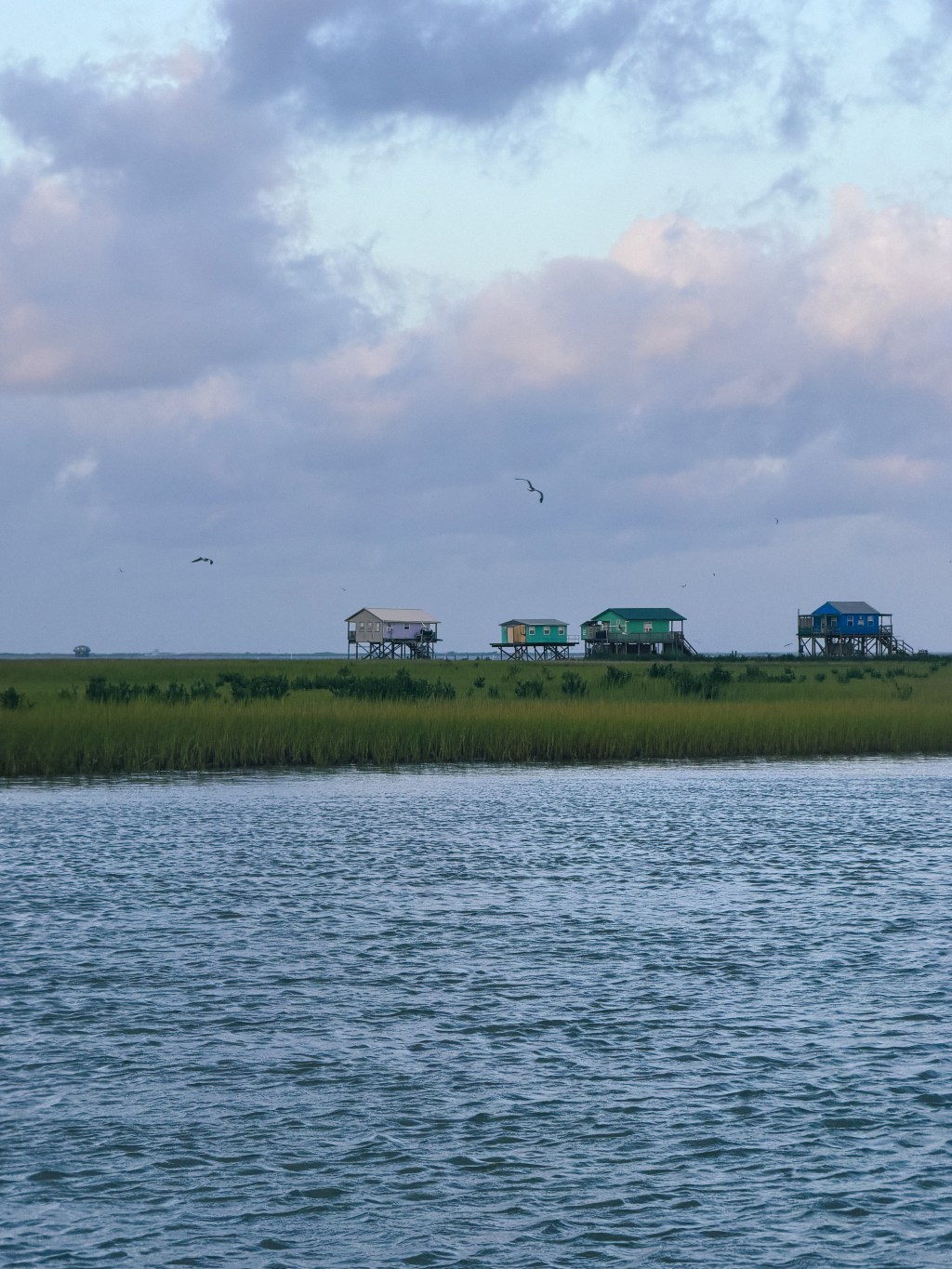 The Bay