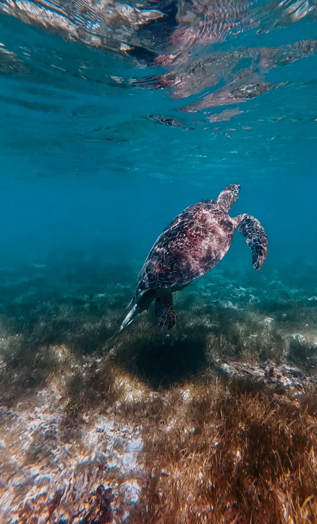 New Caledonia