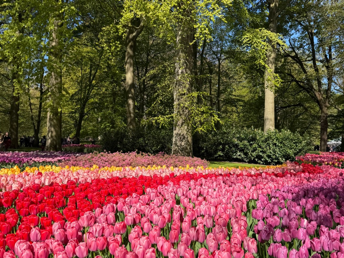 The Netherlands