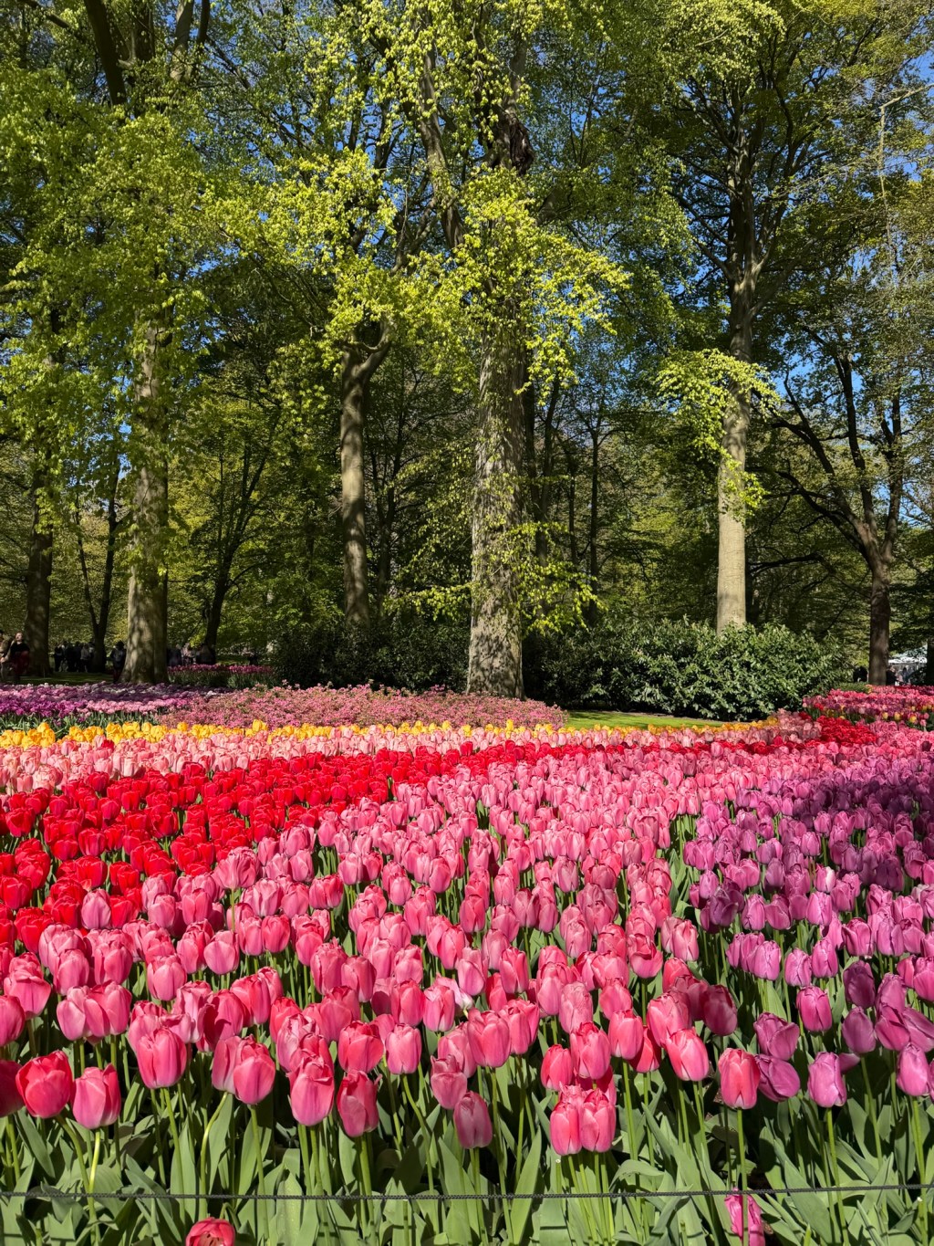 The Netherlands